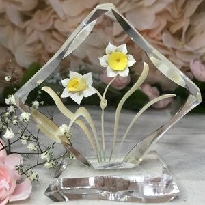 White Daffodil Flowers in Clear Resin Display 🌸✨